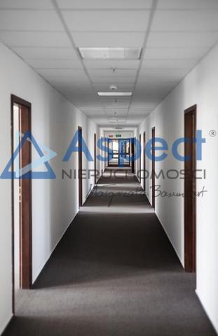 Lokal, 138 m2, 0 piętro, Szczecin Śródmieście (4)