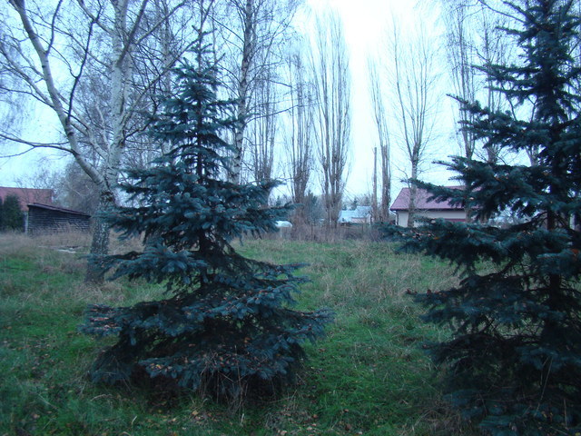 Działka malowniczo położona 2267 m2 270000 zł (3)