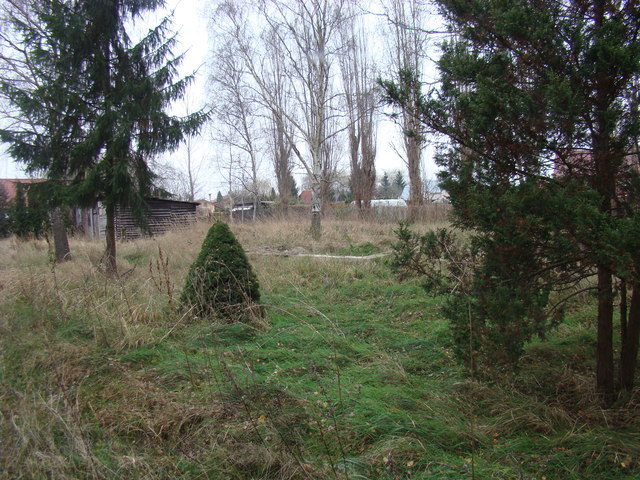 Działka malowniczo położona 2267 m2 270000 zł (7)