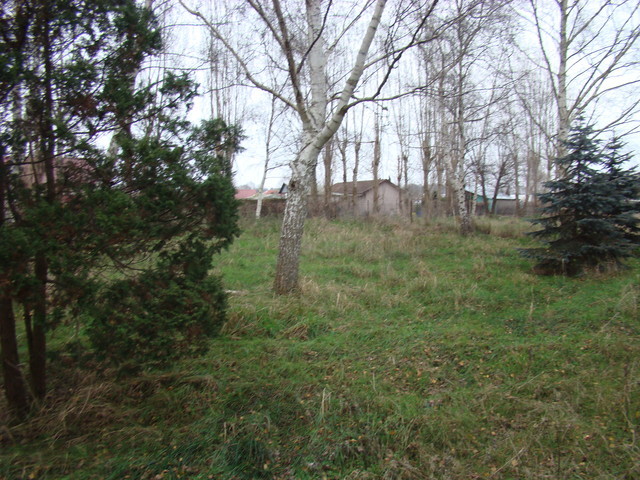 Działka malowniczo położona 2267 m2 270000 zł (8)