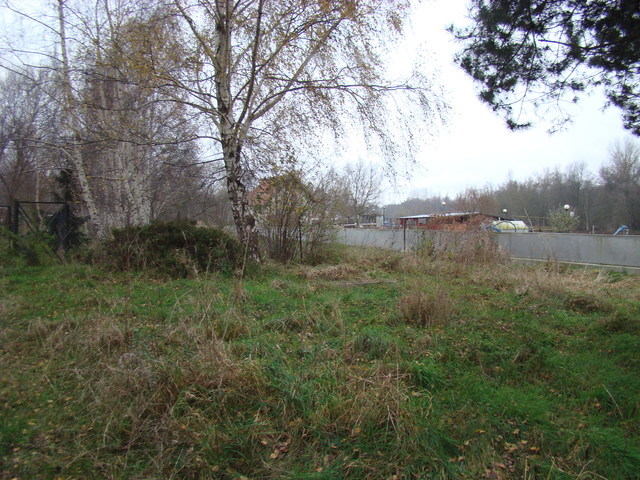 Działka malowniczo położona 2267 m2 270000 zł (9)