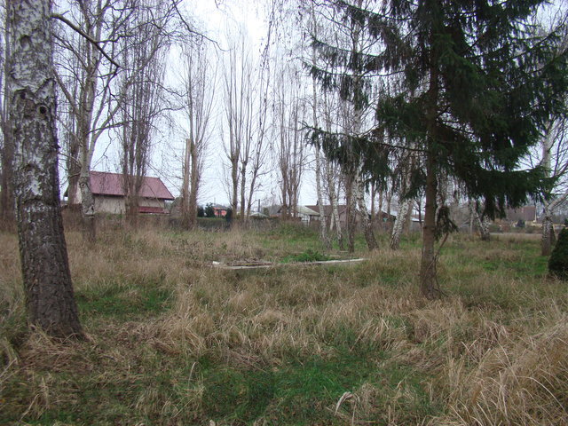 Działka malowniczo położona 2267 m2 270000 zł (11)