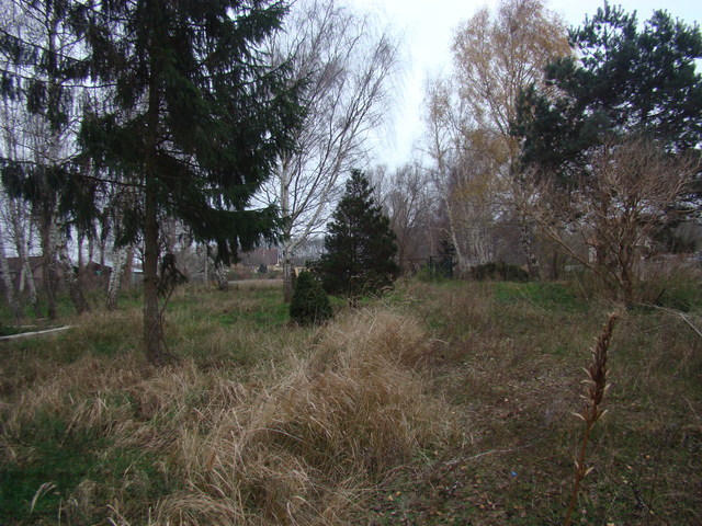 Działka malowniczo położona 2267 m2 270000 zł (12)