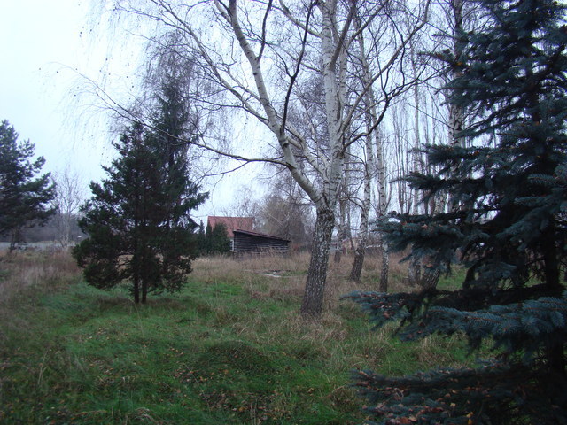 Działka malowniczo położona 2267 m2 270000 zł (17)