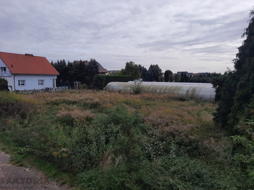 Dobra Szcz. budowlana działka 1180 m2 (3)