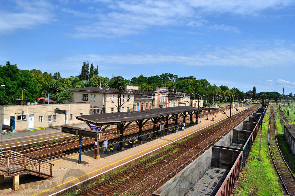 Wynajem terenu 10000m2 Dąbie 2,2 zł/m2 (1)