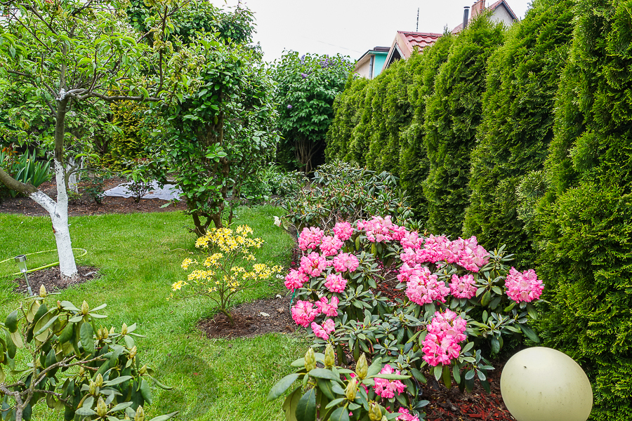 Gumieńce dom wolno stojący dz. 727 m2 1,8 mln (12)