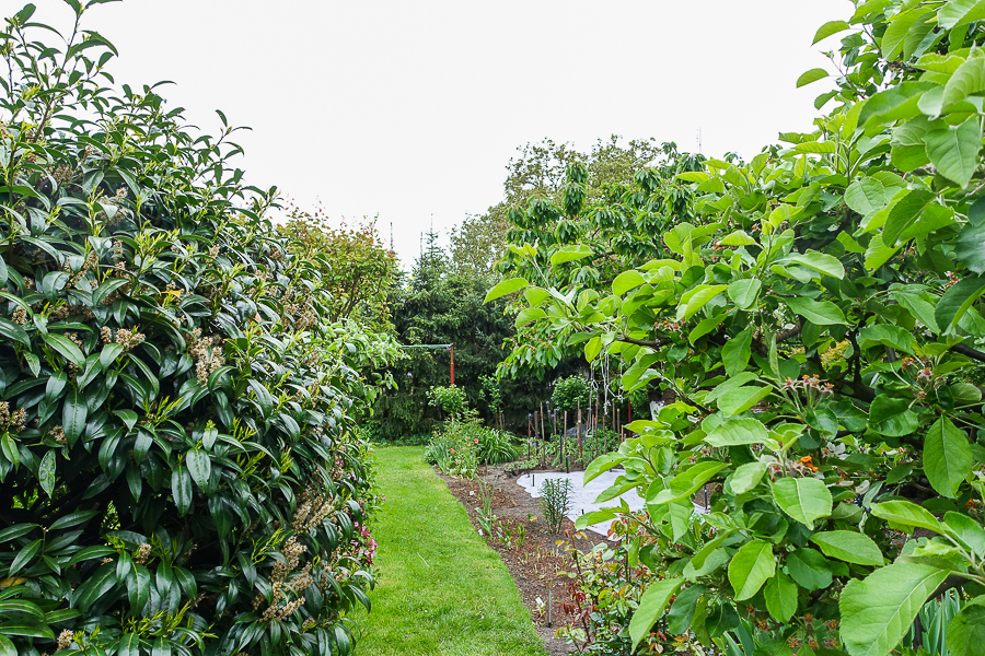 Gumieńce dom wolno stojący dz. 727 m2 1,8 mln (13)