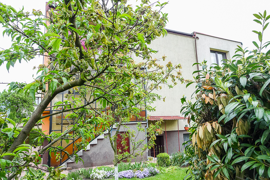 Gumieńce dom wolno stojący dz. 727 m2 1,8 mln (14)