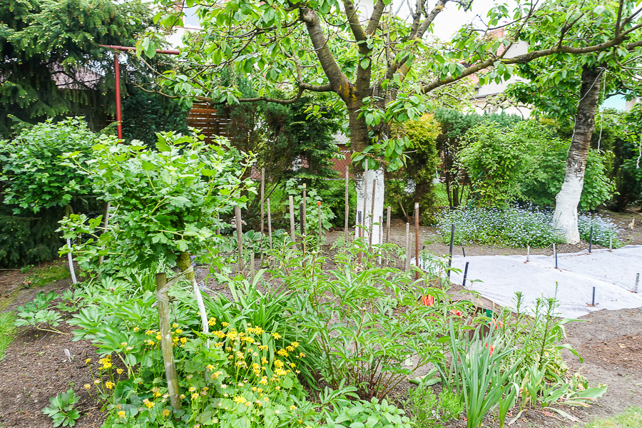 Gumieńce dom wolno stojący dz. 727 m2 1,8 mln (15)