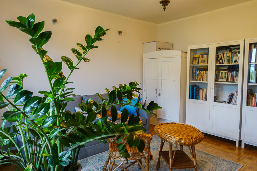 Gumieńce dom wolno stojący dz. 727 m2 1,8 mln (8)