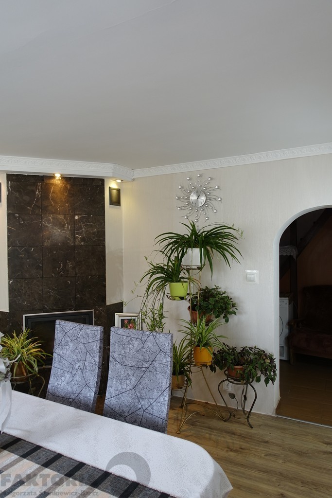 Tanowo. Dom wraz z halą, 2 duże działki 1,65 mln (3)