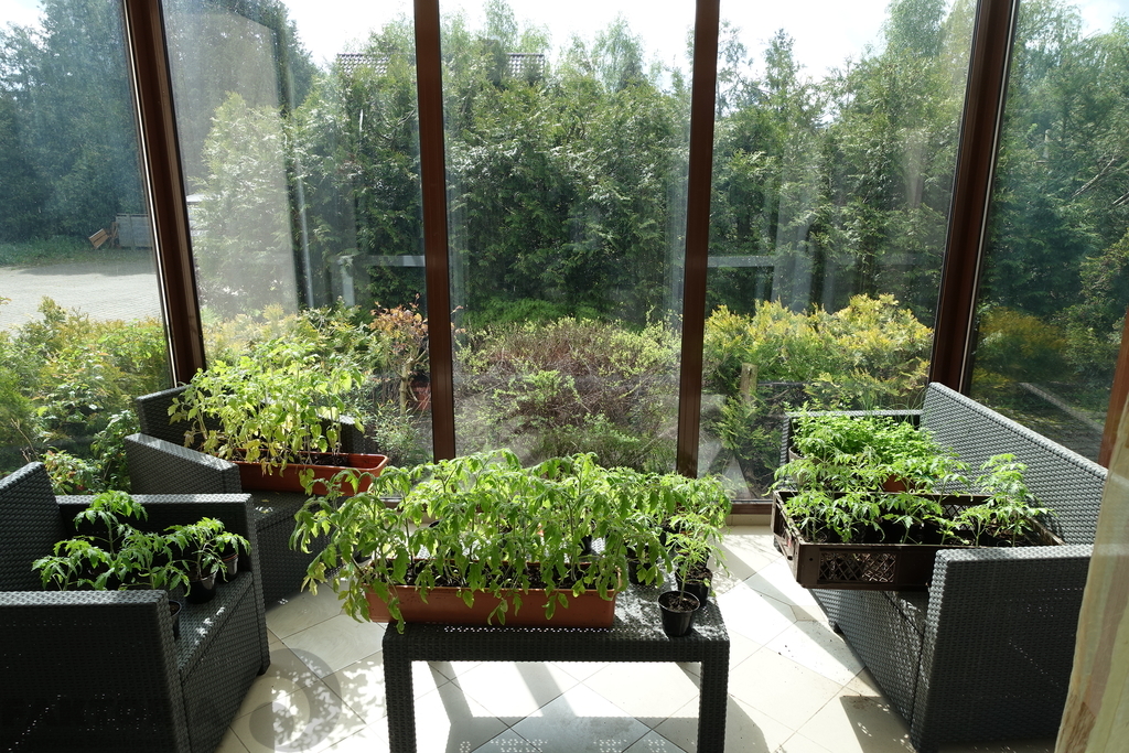 Budynek mieszkalno usługowy 641,5m2 działka 1503m2 (13)