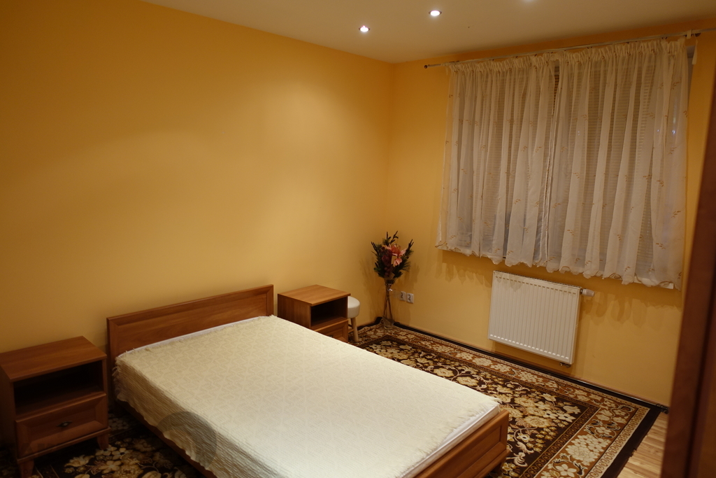 Budynek mieszkalno usługowy 641,5m2 działka 1503m2 (19)