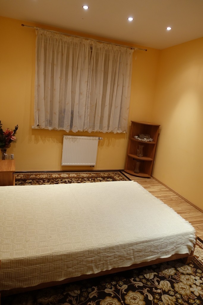 Budynek mieszkalno usługowy 641,5m2 działka 1503m2 (20)