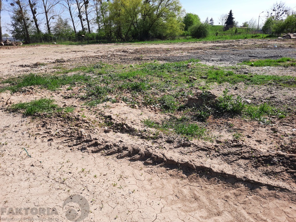 Wynajem plac 6000 m2, 2zł/m2, prąd, woda, kan. gaz (3)