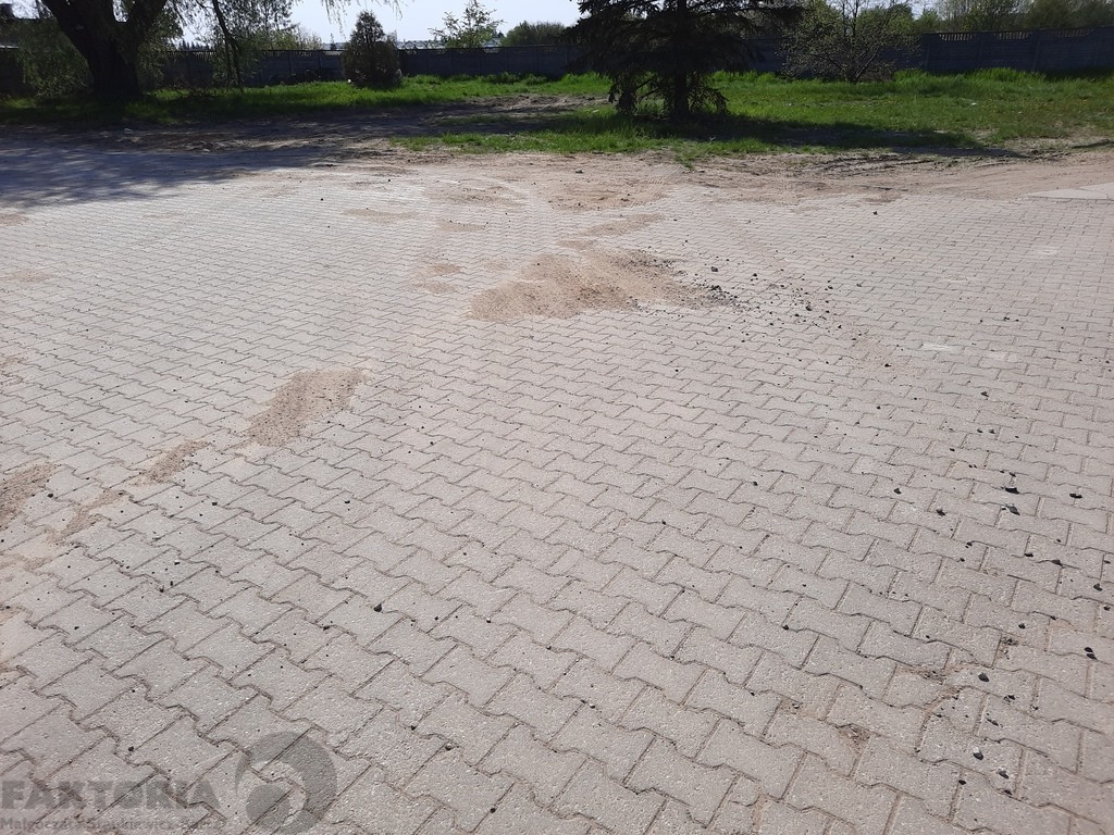 Wynajem plac 3980 m2, 2,5 zł/m2 (5)