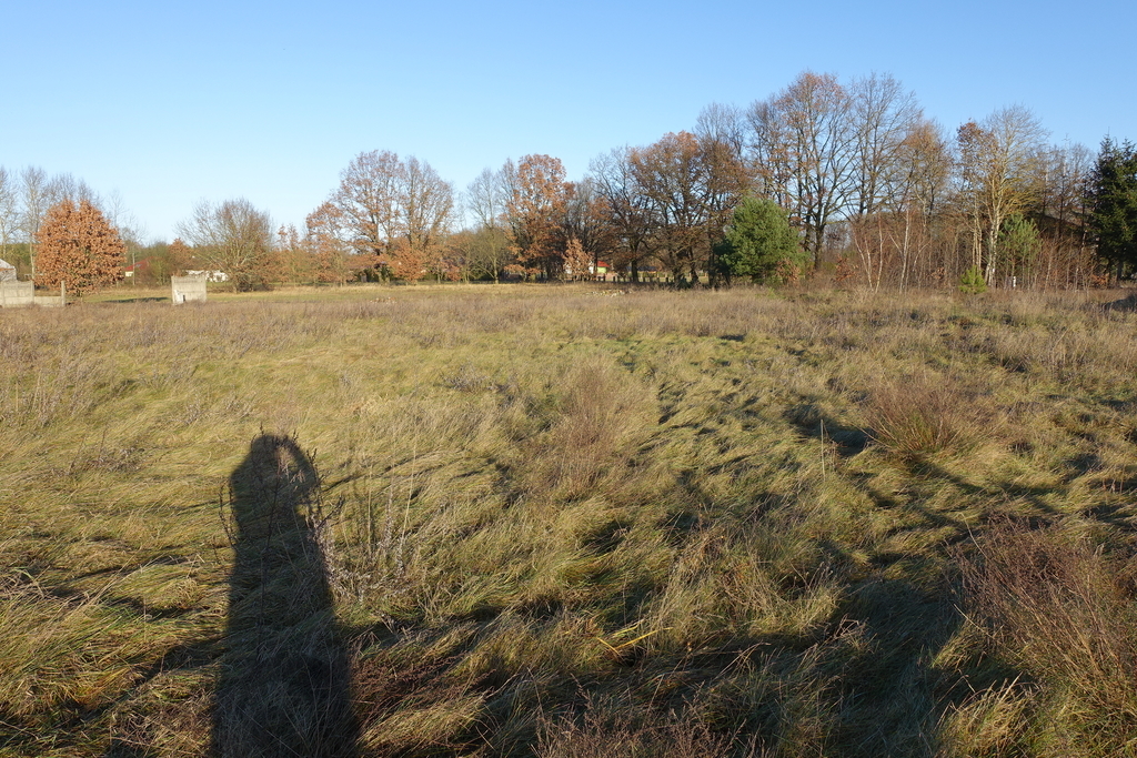 Działka rzemieślnicza 3500 m2, 128 zł/m2 MPZP. (3)