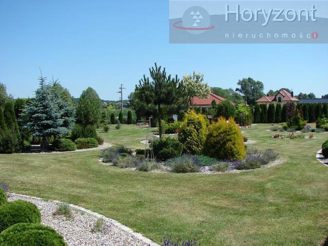 Przepiękny dom parterowy na działce 3400m2 - Dobra (9)