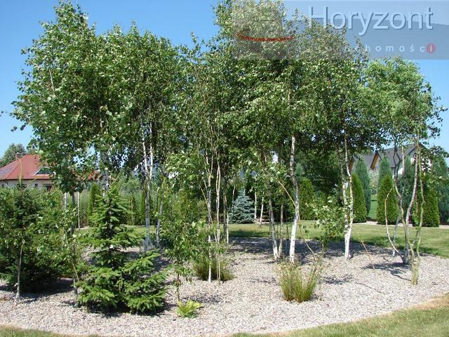 Przepiękny dom parterowy na działce 3400m2 - Dobra (10)