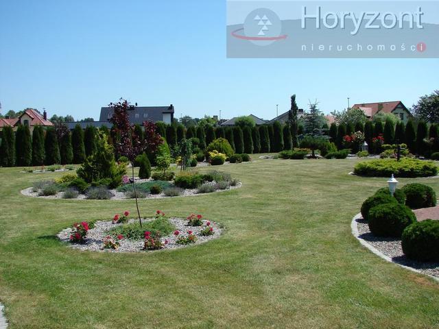 Przepiękny dom parterowy na działce 3400m2 - Dobra (11)