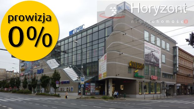 Lokal 103m2, Krzywoustego, witryna,wejście z ulicy (10)