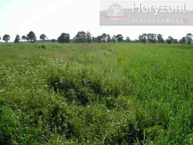 Rolna, 19,210 m2, Rurzyca  (1)