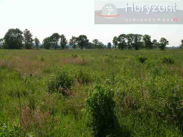 Rolna, 19,210 m2, Rurzyca  (3)