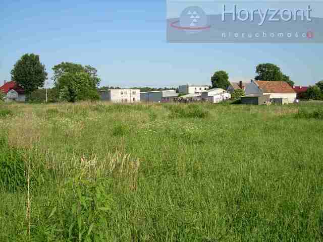 Rolna, 19,210 m2, Rurzyca  (5)