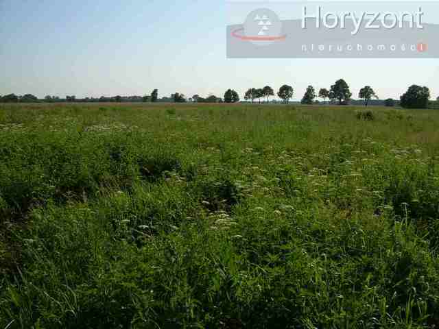 Rolna, 19,210 m2, Rurzyca  (7)