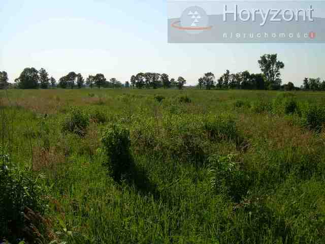 Rolna, 19,210 m2, Rurzyca  (9)