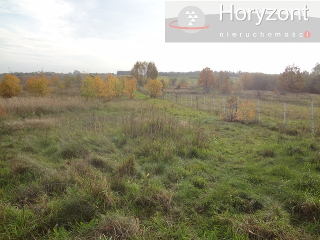 Działki w Stobnie 3000m2 w cenie 120zł/1m2 (5)