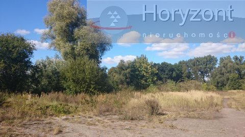 Duża działka pod agroturystykę blisko Maszewa (5)