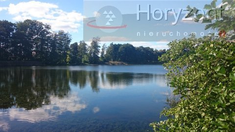 Duża działka pod agroturystykę blisko Maszewa (1)