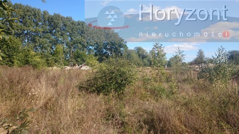 Duża działka pod agroturystykę blisko Maszewa (6)