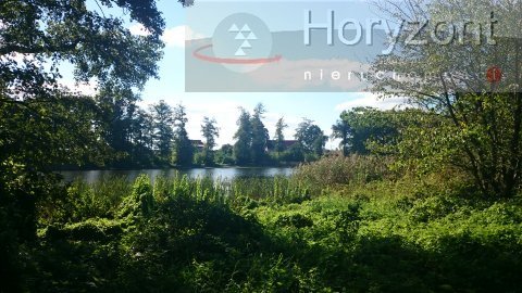 Duża działka pod agroturystykę blisko Maszewa (4)