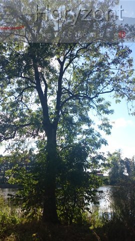 Duża działka pod agroturystykę blisko Maszewa (7)