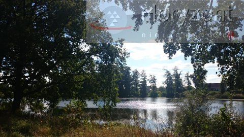 Duża działka pod agroturystykę blisko Maszewa (9)