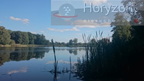 Duża działka pod agroturystykę blisko Maszewa (10)