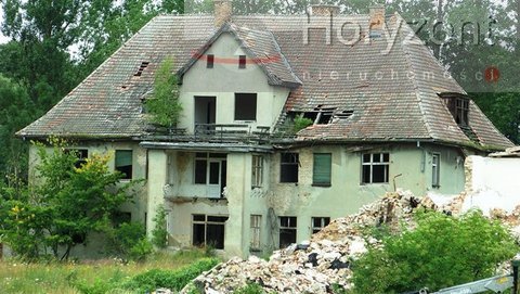 Duża działka pod agroturystykę blisko Maszewa (3)