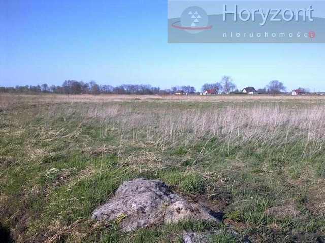 Działka 1050m2 - Łęgi 190zł/1m2 (4)