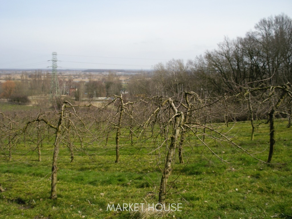 Działka pod zabudowę (1)