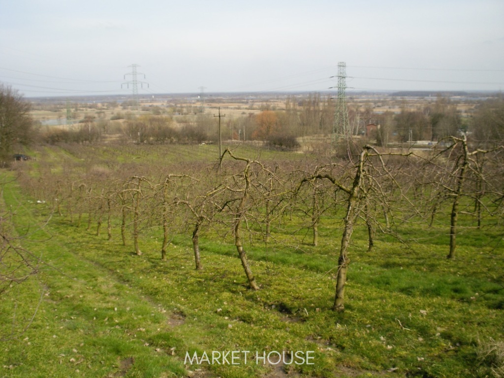 Działka pod zabudowę (2)