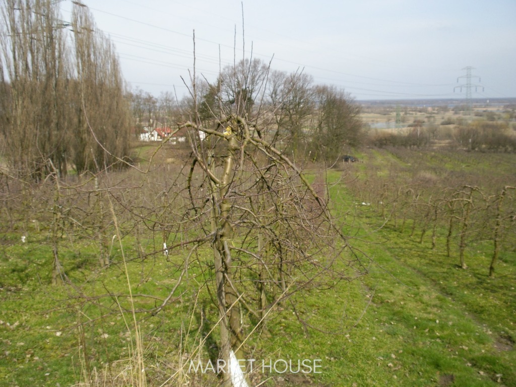 Działka pod zabudowę (3)