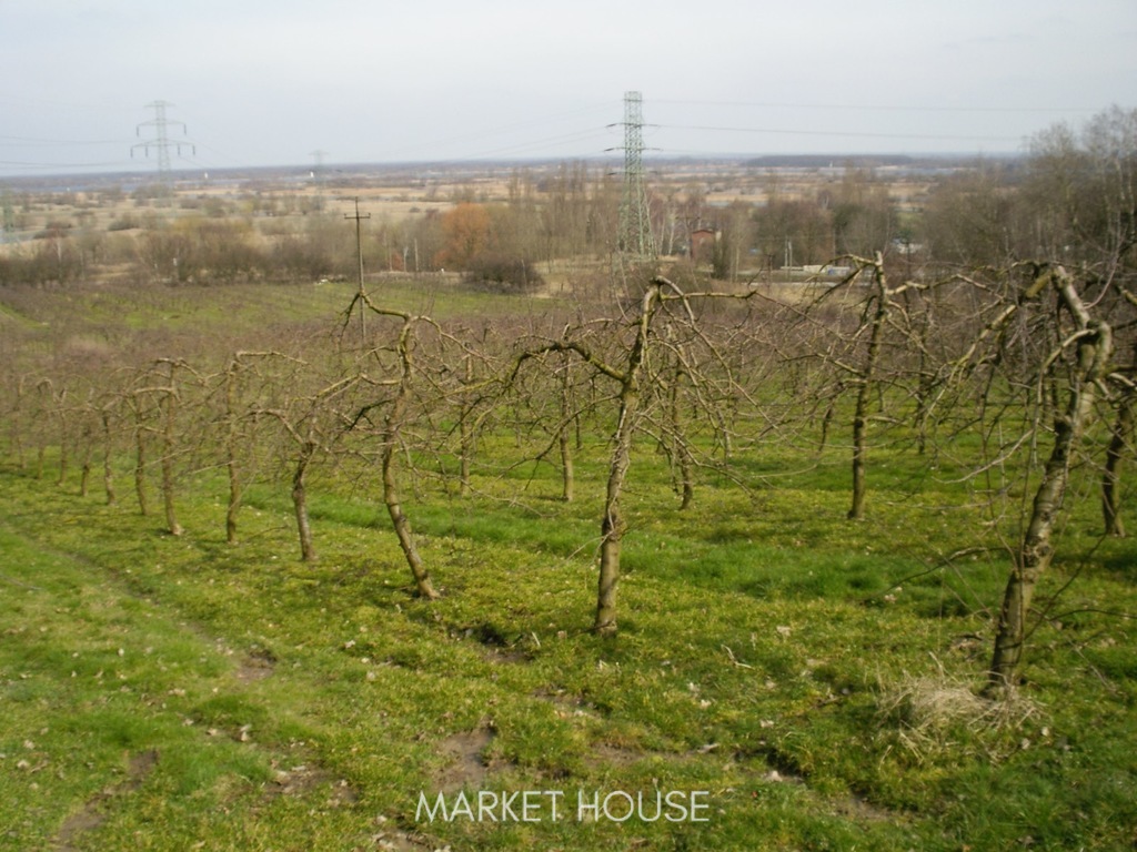 Działka pod zabudowę (4)