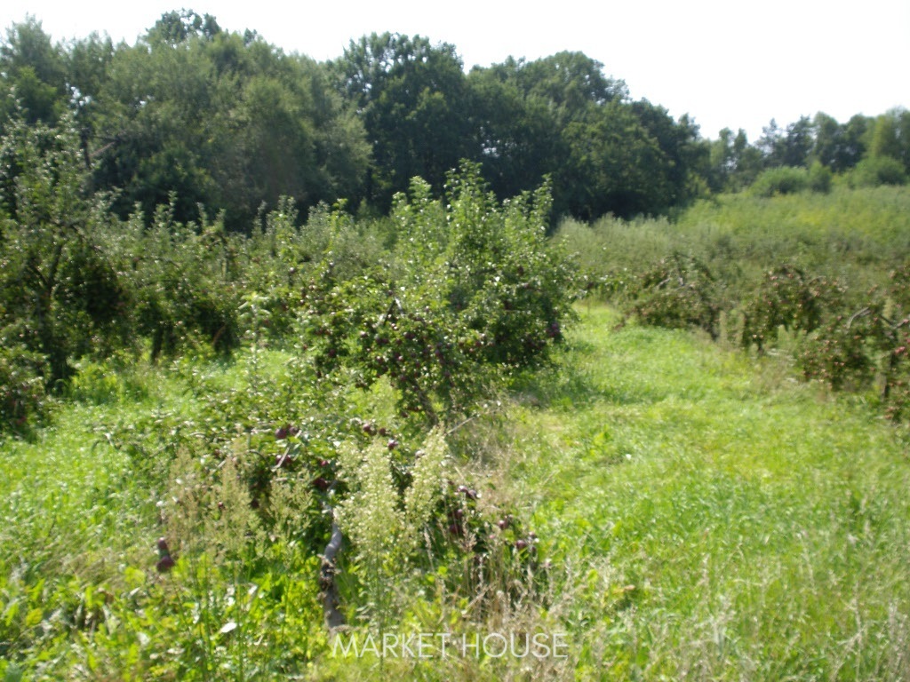 Działka pod zabudowę (5)