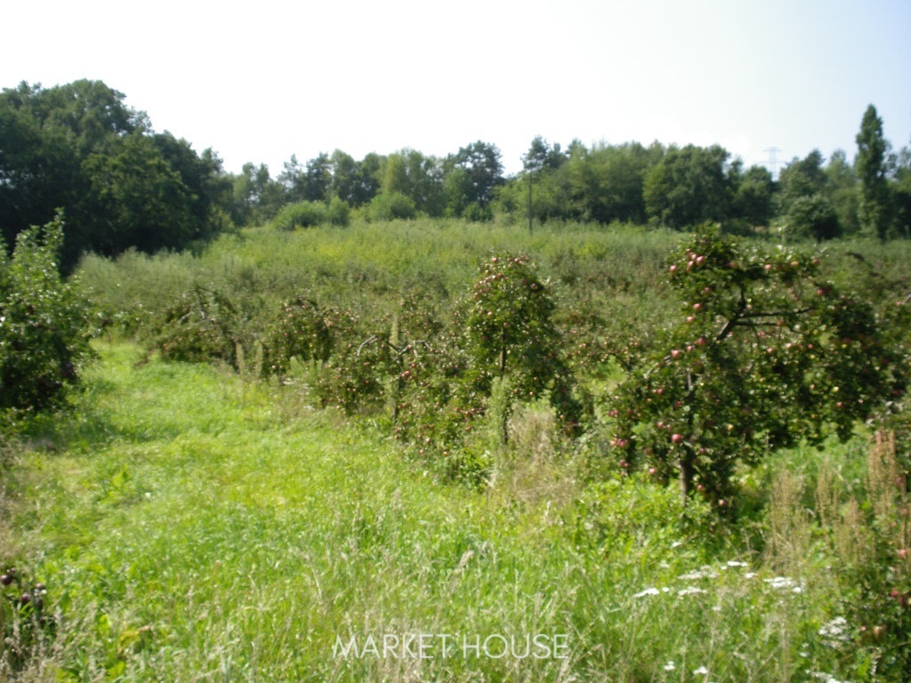 Działka pod zabudowę (6)