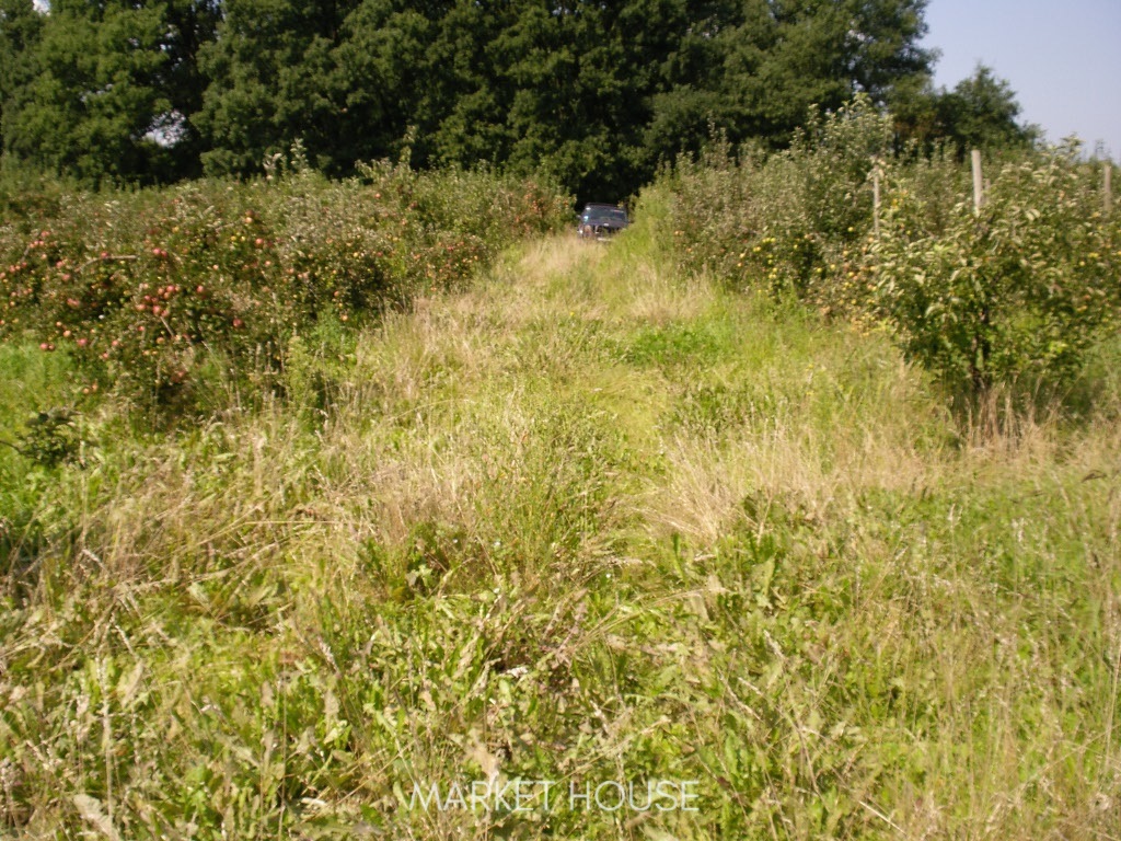 Działka pod zabudowę (8)