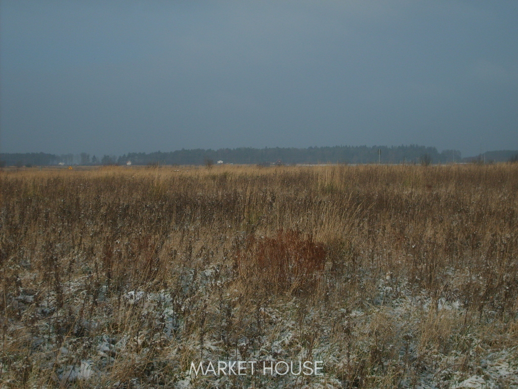 Działki na sprzedaż (1)