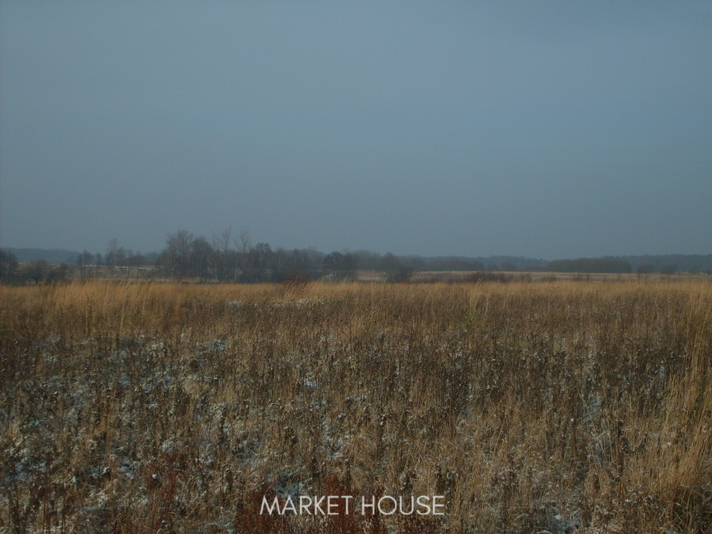 Działki na sprzedaż (7)